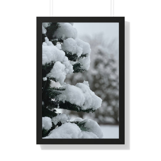 Winter Pine Tree Framed Vertical Poster, Snow on Balsam Tree Print, Winter Snow Scene Framed Print
