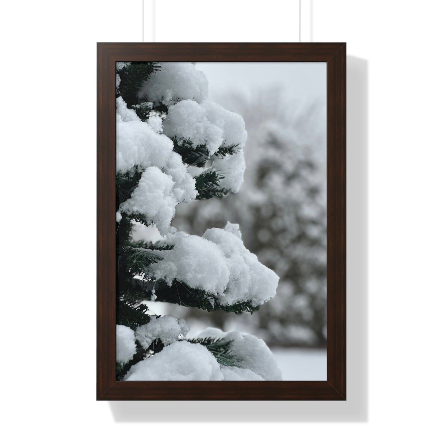 Winter Pine Tree Framed Vertical Poster, Snow on Balsam Tree Print, Winter Snow Scene Framed Print