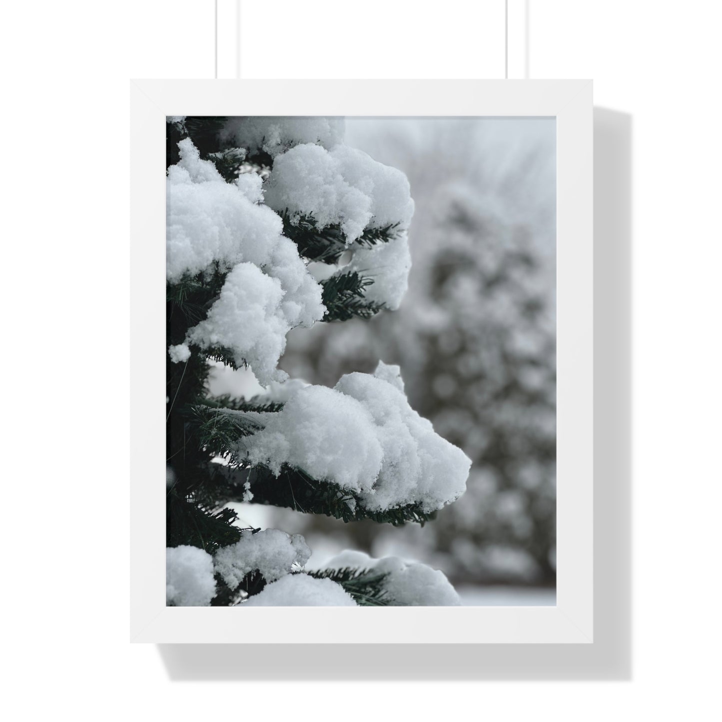 Winter Pine Tree Framed Vertical Poster, Snow on Balsam Tree Print, Winter Snow Scene Framed Print