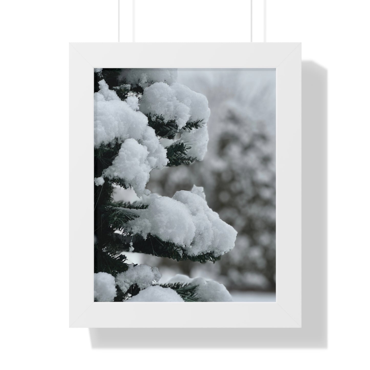 Winter Pine Tree Framed Vertical Poster, Snow on Balsam Tree Print, Winter Snow Scene Framed Print