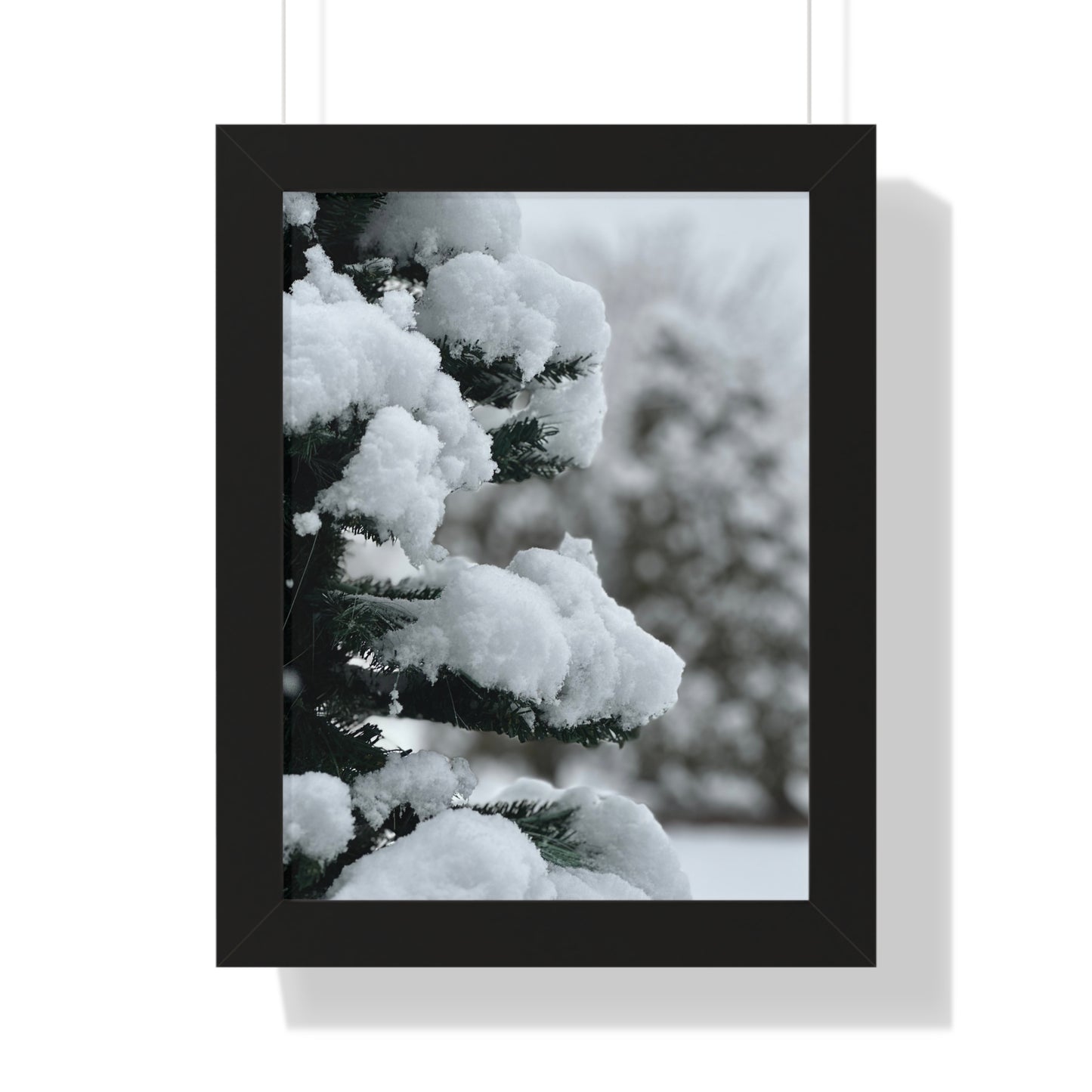 Winter Pine Tree Framed Vertical Poster, Snow on Balsam Tree Print, Winter Snow Scene Framed Print