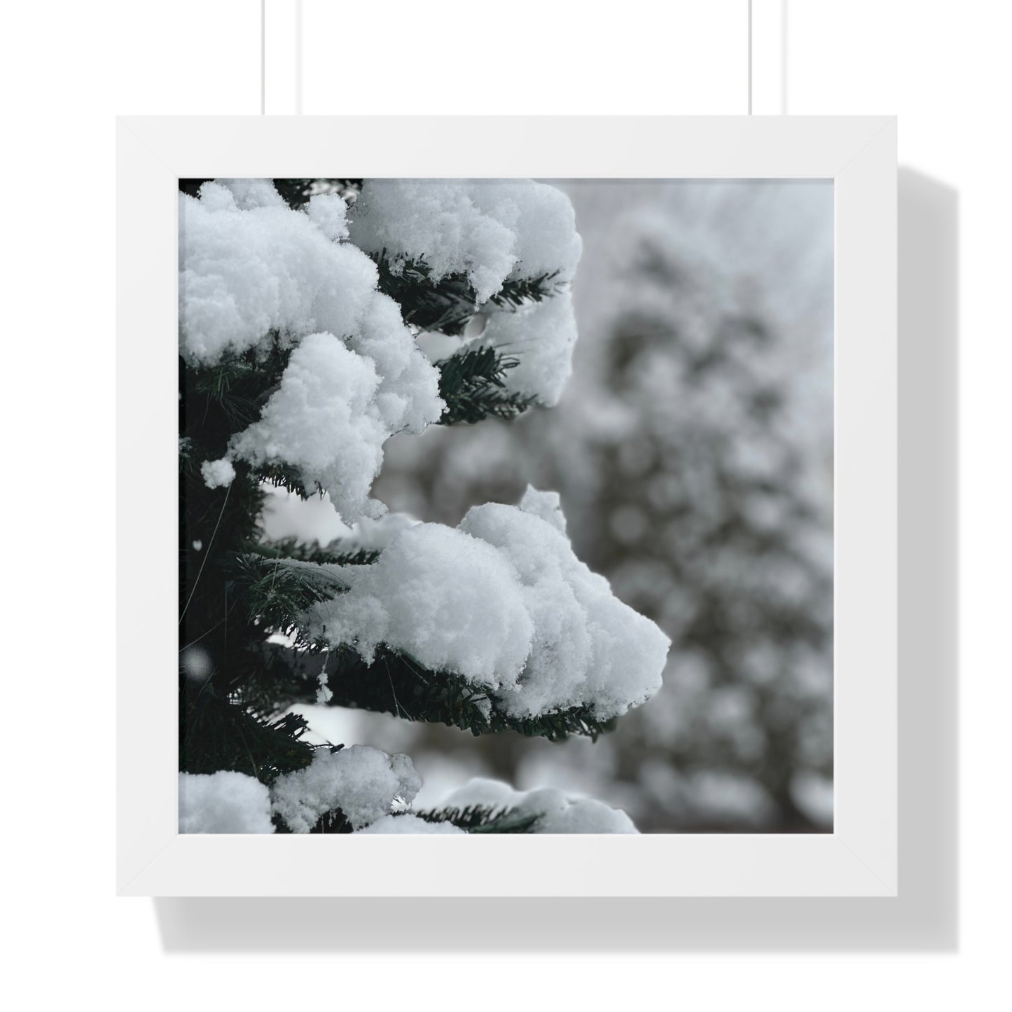 Winter Pine Tree Framed Vertical Poster, Snow on Balsam Tree Print, Winter Snow Scene Framed Print