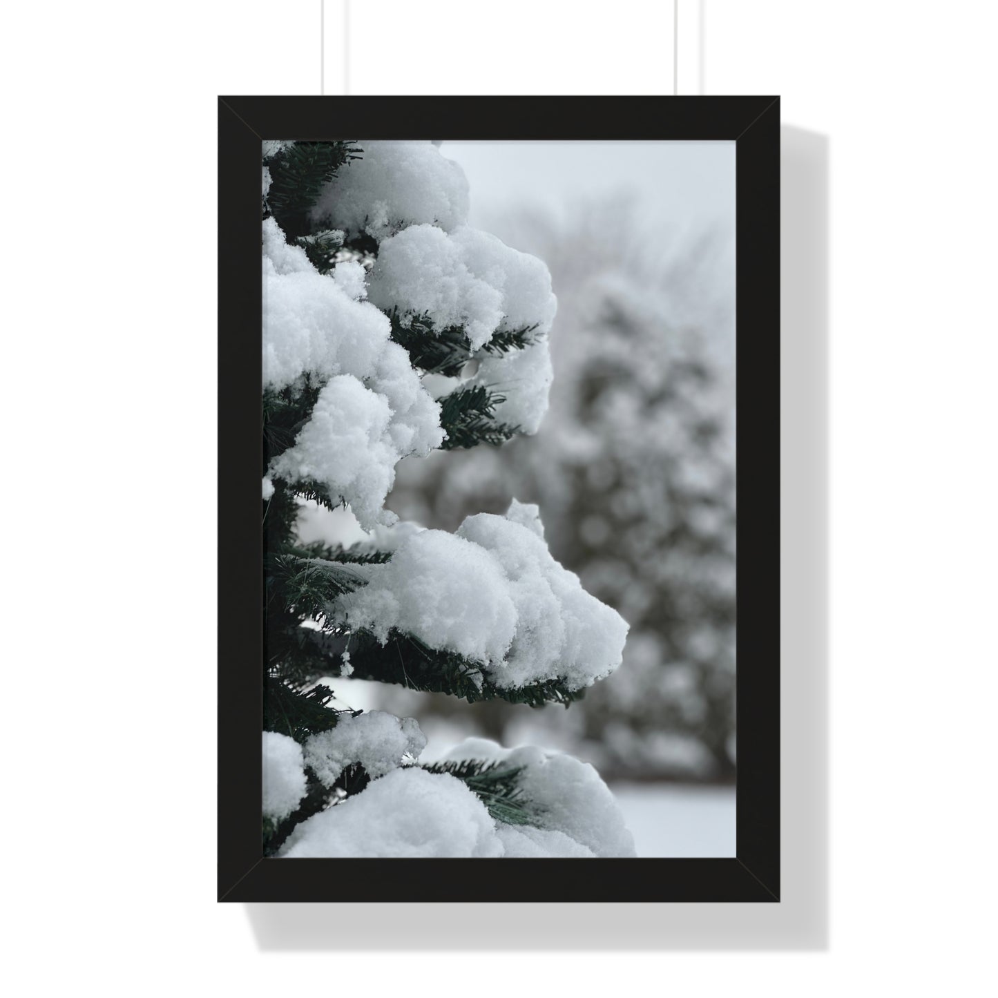 Winter Pine Tree Framed Vertical Poster, Snow on Balsam Tree Print, Winter Snow Scene Framed Print