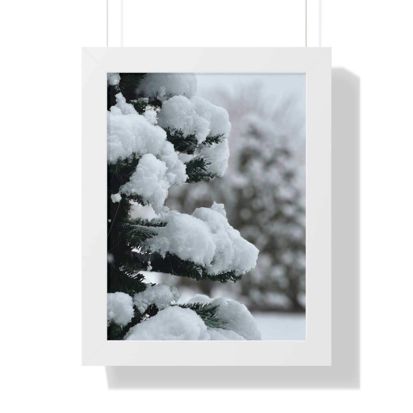 Winter Pine Tree Framed Vertical Poster, Snow on Balsam Tree Print, Winter Snow Scene Framed Print