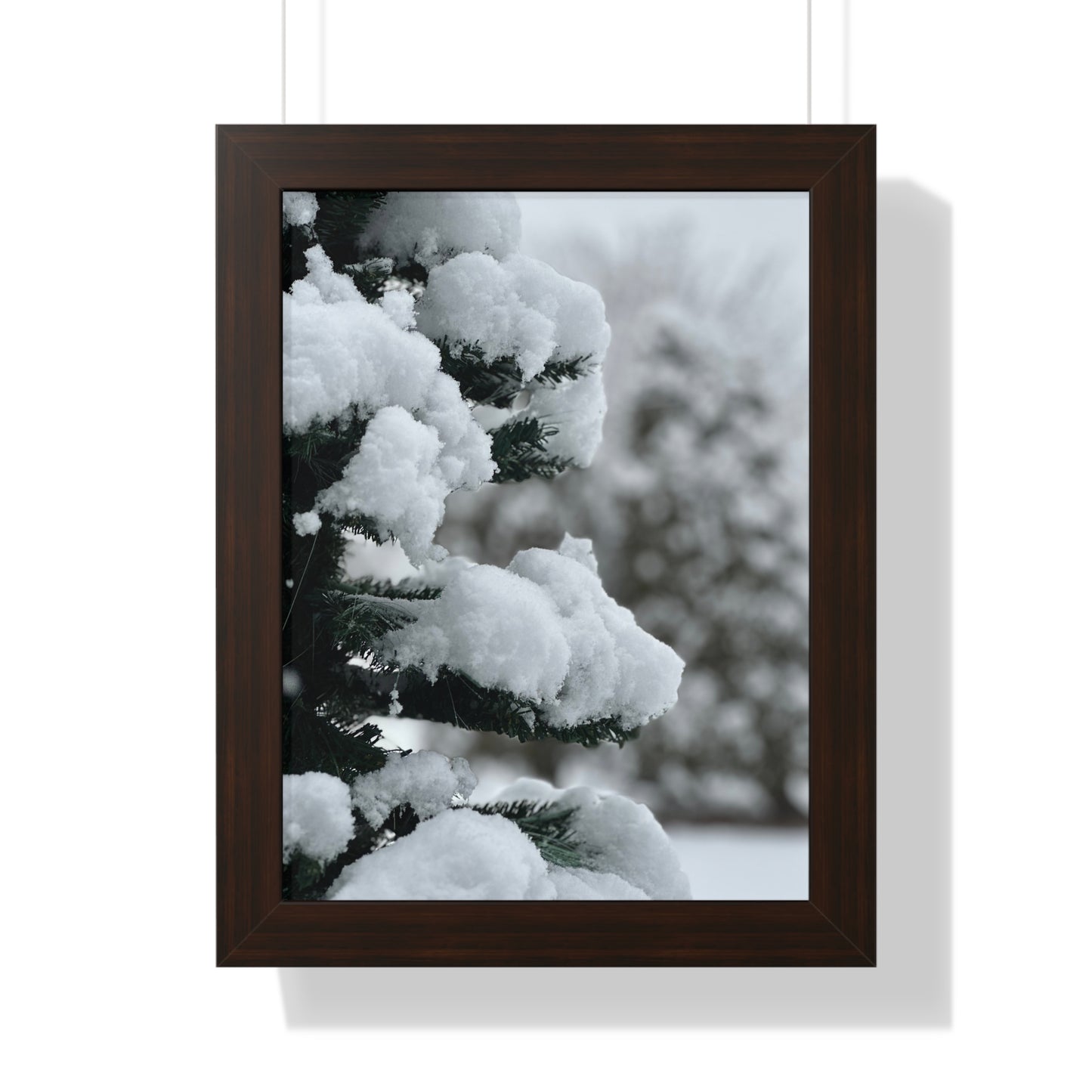 Winter Pine Tree Framed Vertical Poster, Snow on Balsam Tree Print, Winter Snow Scene Framed Print